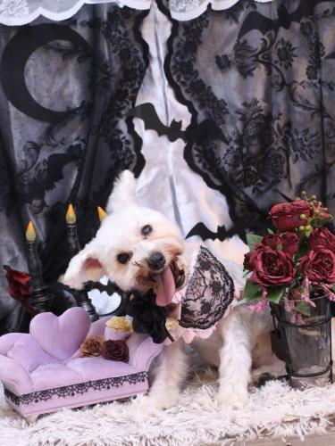 20231012天馬利ちゃん